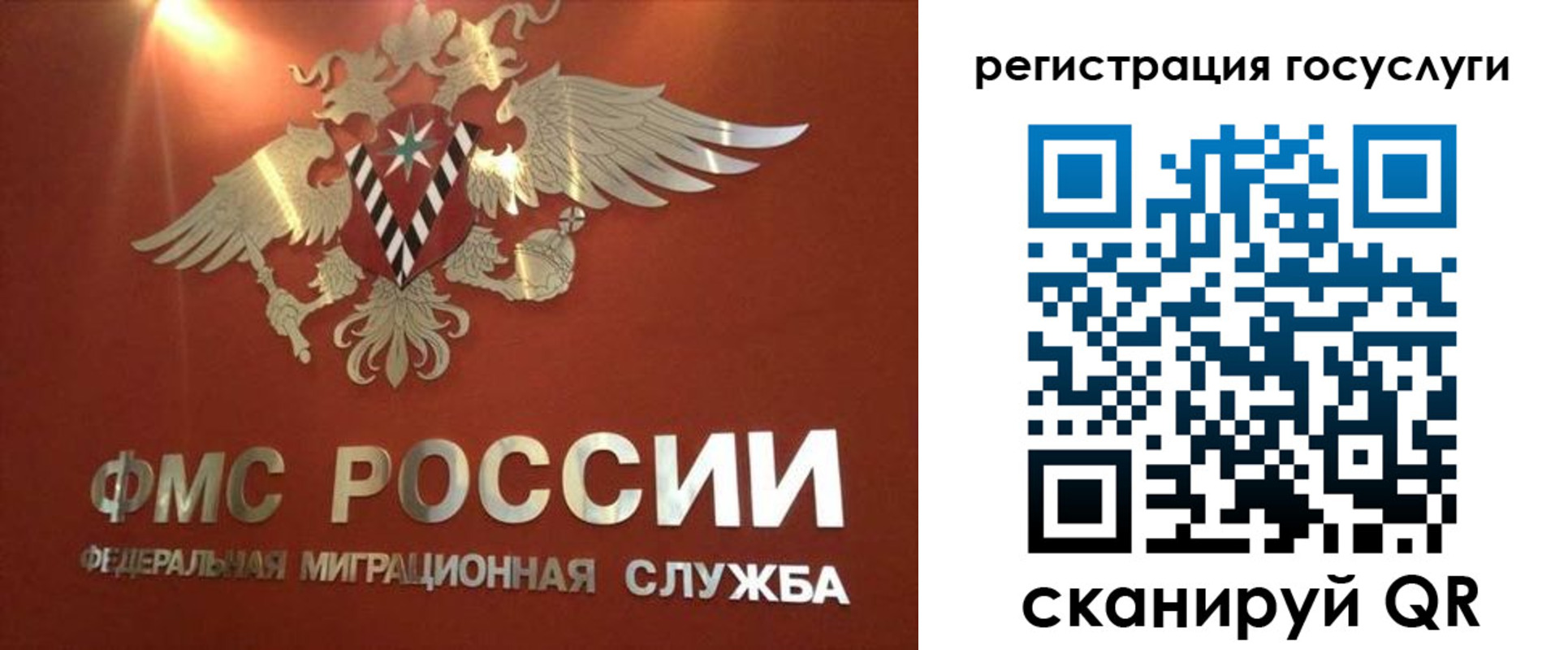 прописка ребенка в Кингисеппе